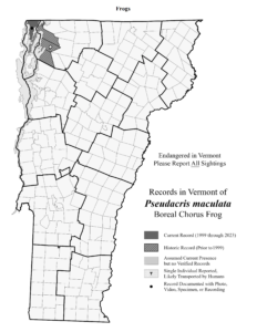 Map showing the distribution of Boreal Chorus Frog (as mapped in 2023)