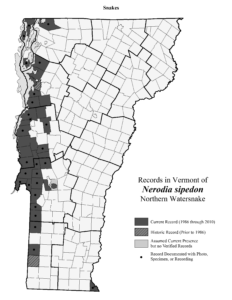 A map showing distribution of Common Watersnake in Vermont (as mapped in 2010)