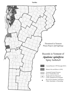 Records in Vermont of Apalone spinifera (Spiny Softshell)