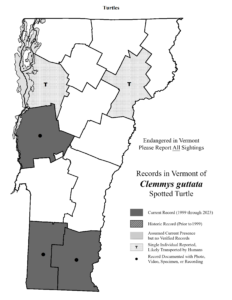 Records in Vermont of Clemmys guttata (Spotted Turtle)