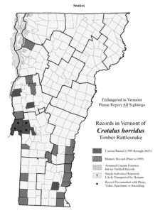 Records in Vermont of Crotalus horridus (Timber Rattlesnake)