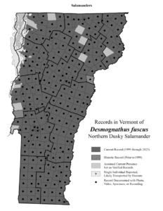 Records in Vermont of Desmognathus fuscus (Northern Dusky Salamander)