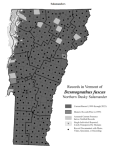 Records in Vermont of Desmognathus fuscus (Northern Dusky Salamander)