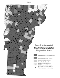 Records in Vermont of Diadophis punctatus (Ring-necked Snake)