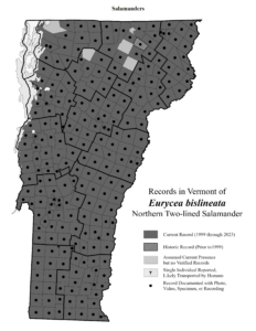 Records in Vermont of Eurycea bislineata (Northern Two-lined Salamander)