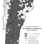 Records in Vermont of Gyrinophilus porphyriticus (Spring Salamander)