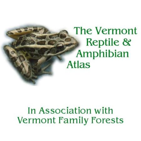 Herp Atlas Logo | Vermont Reptile And Amphibian Atlas