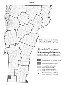 Records in Vermont of Heterodon platirhinos (Eastern Hog-nosed Snake)