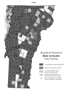 Records in Vermont of Hyla versicolor (Gray Treefrog)