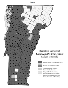 Records in Vermont of Lampropeltis triangulum (Eastern Milksnake)