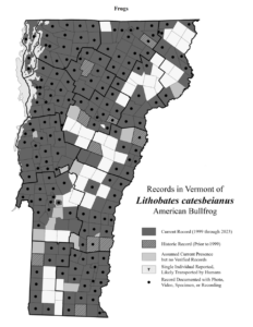 Records in Vermont of Lithobates catesbeianus (American Bullfrog)