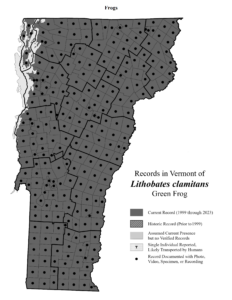 Records in Vermont of Lithobates clamitans (Green Frog)