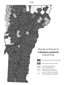 Records in Vermont of Lithobates palustris (Pickerel Frog)