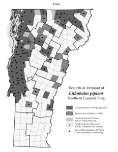 Records in Vermont of Lithobates pipiens (Northern Leopard Frog)