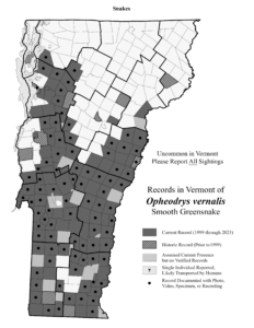 Records in Vermont of Opheodrys vernalis (Smooth Greensnake)