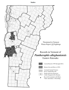 Records in Vermont of Pantherophis alleghaniensis (Eastern Ratsnake)