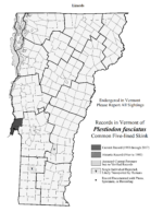 plestiodon_fasciatus | Vermont Reptile and Amphibian Atlas