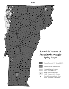 Records in Vermont of Pseudacris crucifer (Spring Peeper)