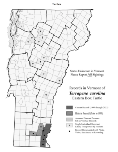 Records in Vermont of Terrapene carolina (Eastern Box Turtle) 