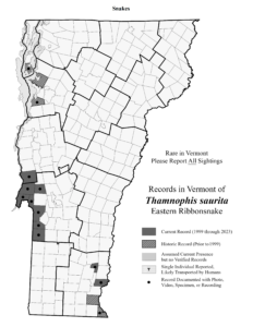 Records in Vermont of Thamnophis saurita (Eastern Ribbonsnake)